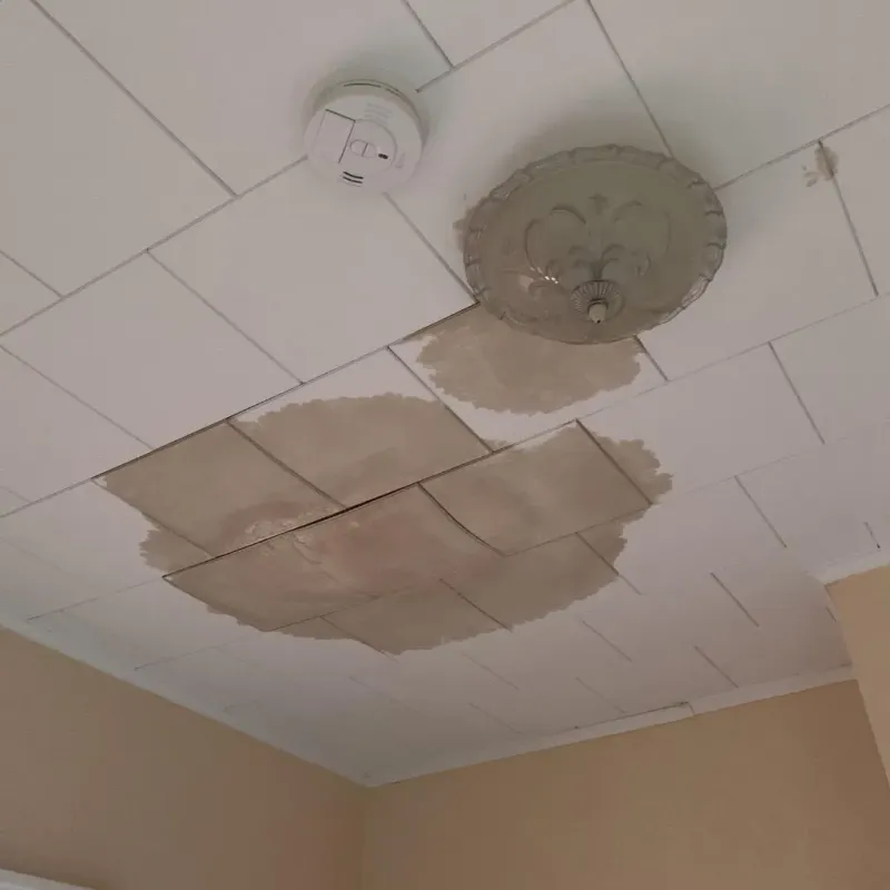 Ceiling Water Damage Repair in Newark, DE