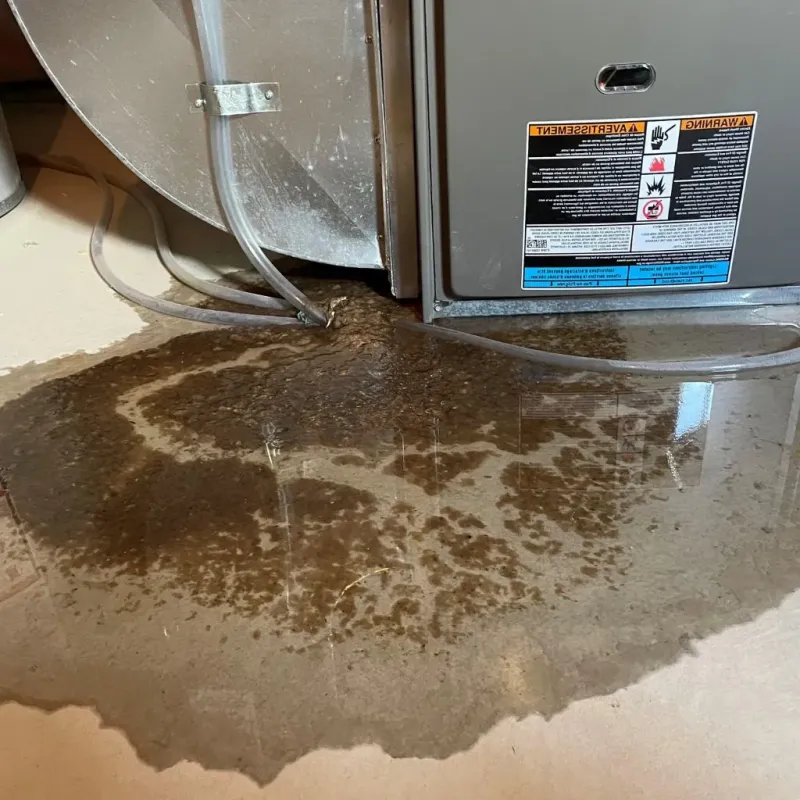 Pipe Burst and Leak Restoration in Newark, DE